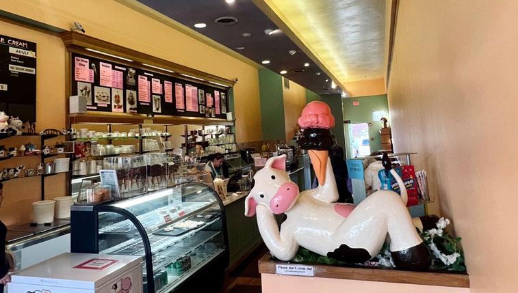 interior-lizzy's-Ice-Cream